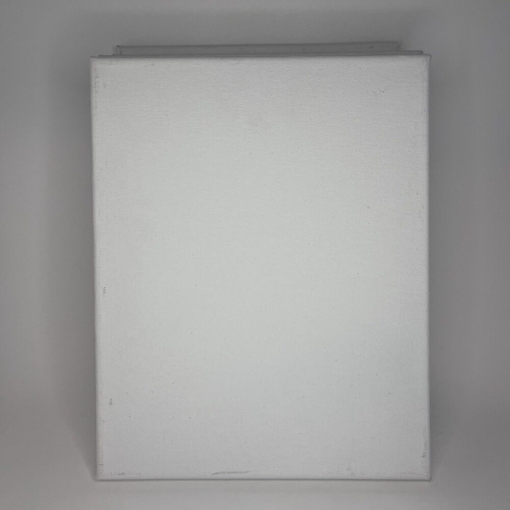 Lot of (5) 8x10 canvas panel Art Supply DIY Painting Canvas Artwork